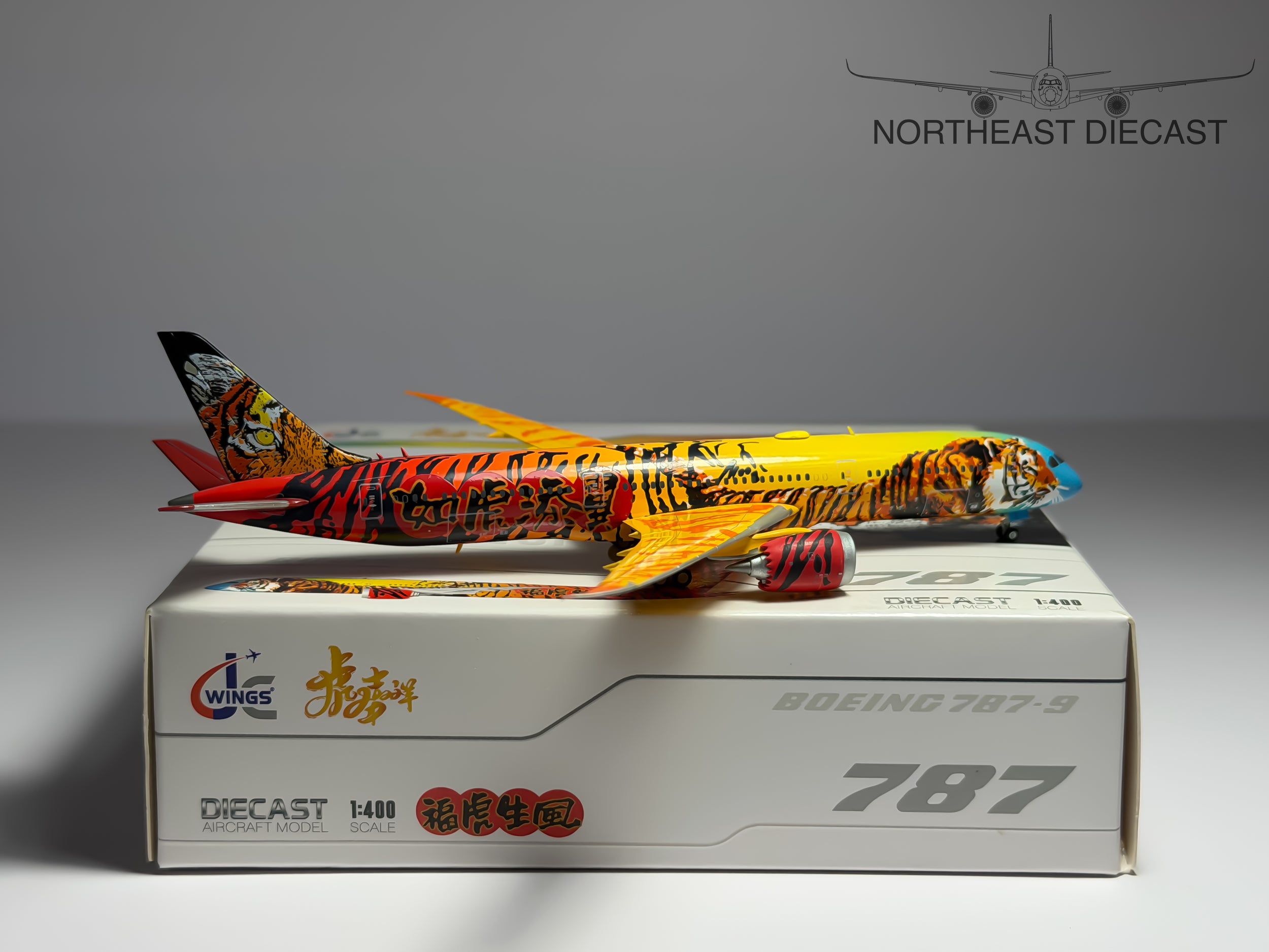 Tsungwei Moo - Fantasy Boeing 787-9 1:400 JC Wings (LH8022)